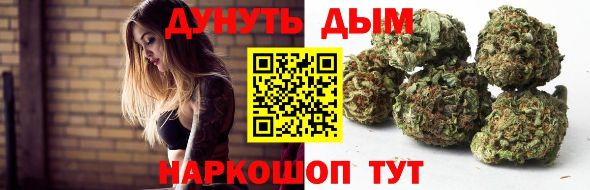 Конопля планчик Звенигород